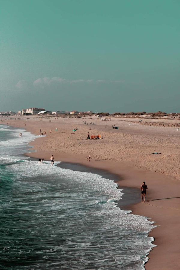 Moradia Entre O Mar E A Ria Holiday home